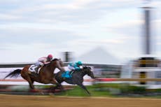 Journalism sale como favorito en Belmont Stakes; Sovereignty, ganador en Kentucky, es segunda opción