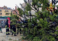 Caída de árbol en Venecia causa heridas a una docena de personas