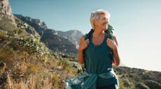 ¿En qué consisten las vacaciones “perfectas”?
