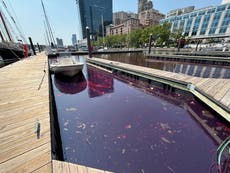 Equipos limpian derrame de 2.000 galones de combustible en el puerto de Baltimore