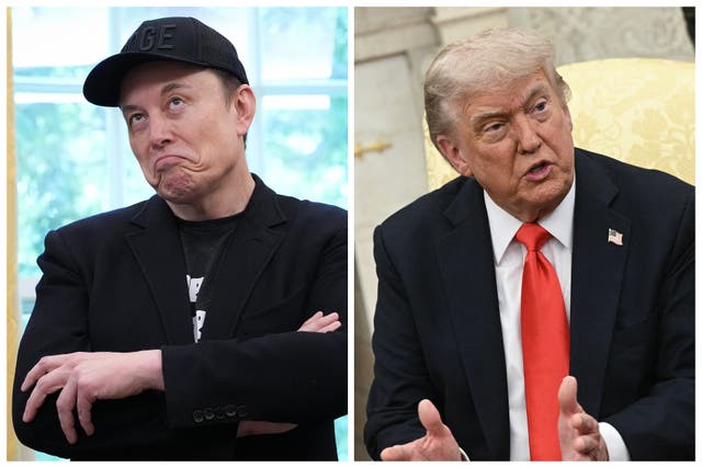 <p>Elon Musk y Donald Trump se pelearon el jueves en sus respectivas redes sociales</p>