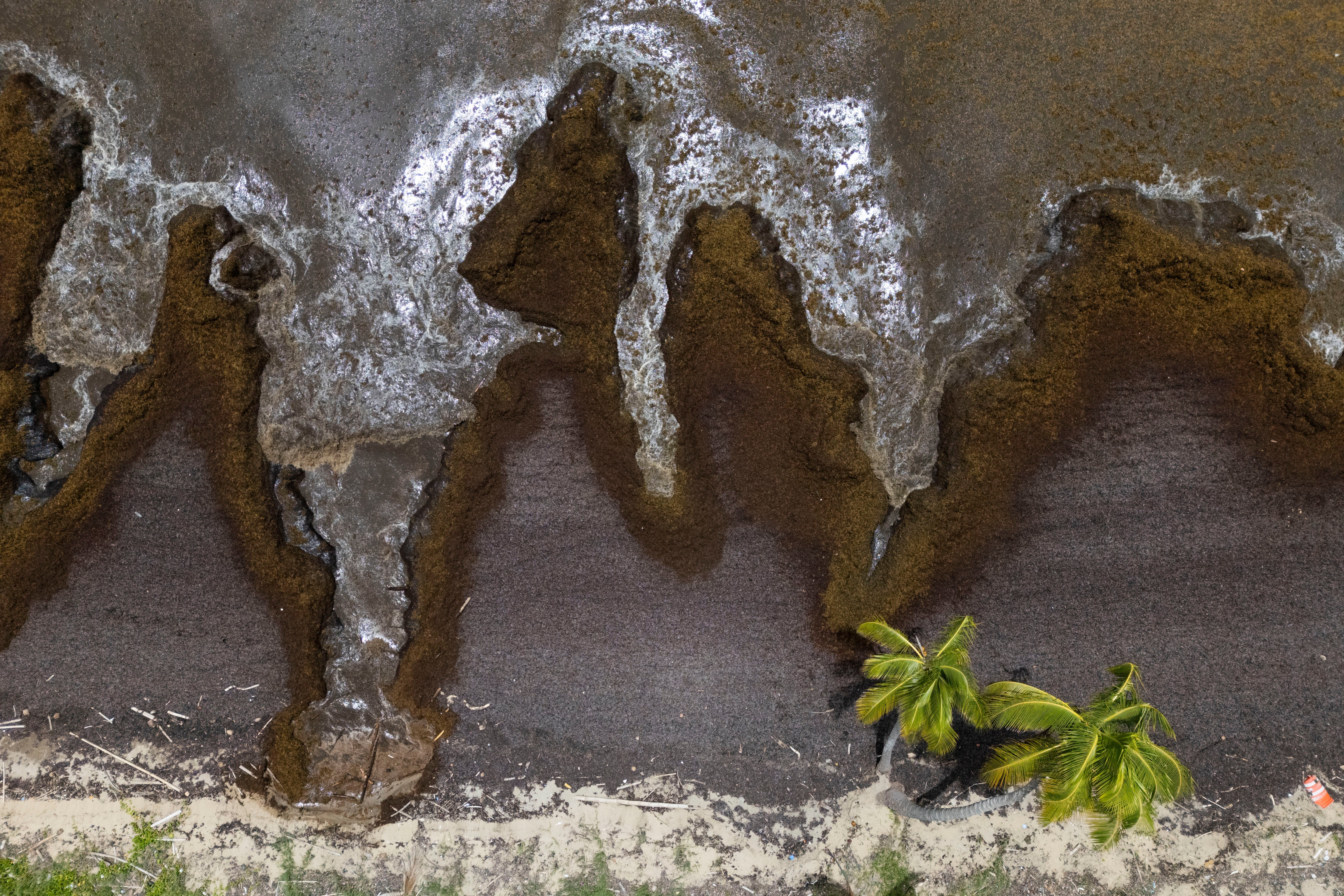 REP-GEN LATINOAMÉRICA EN IMÁGENES-FOTOS