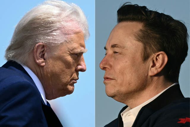 <p>Tanto Trump como Musk ejercen una influencia masiva en sus propias plataformas y acaparan la atención del mundo. En esta disputa entre los dos hombres más poderosos del mundo, hay miles de millones de dólares en juego</p>