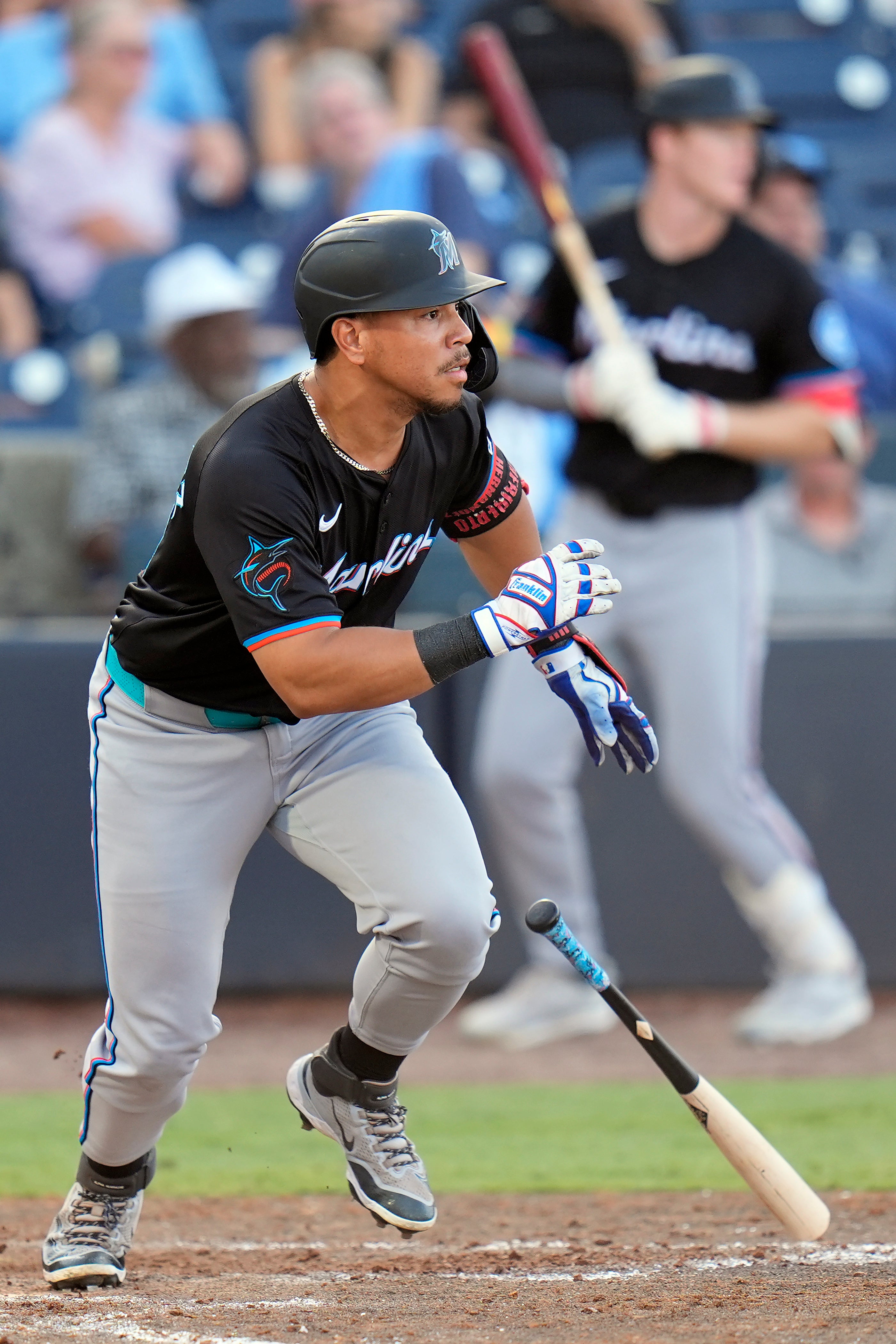 MARLINS-RAYS