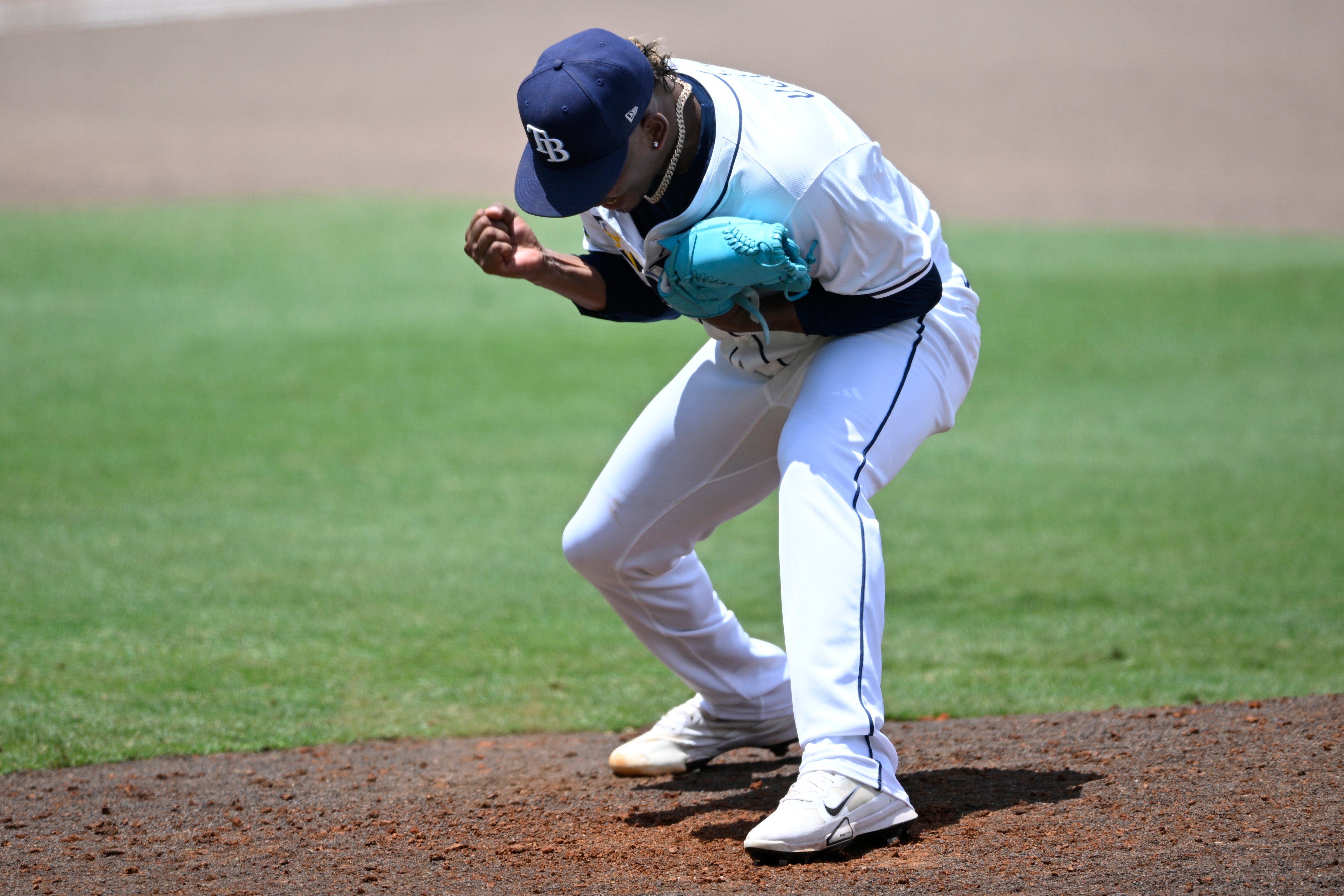 MARLINS RAYS
