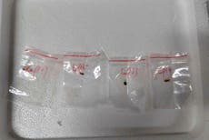 EEUU arresta a científica china por no tener permiso para enviar material biológico