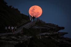 ¿Cuándo será la luna de fresa 2025 y cómo verla en el cielo?