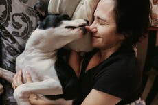 Tu perro puede percibir cómo te sientes, según los científicos