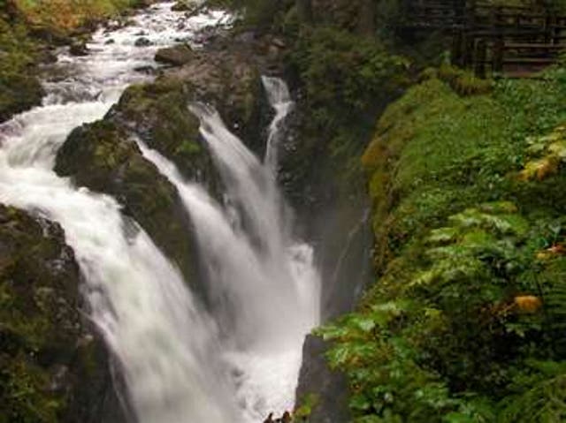 <p>Joven de 18 años muere tras caer en las cataratas de Sol Duc, en el Olympic National Park </p>