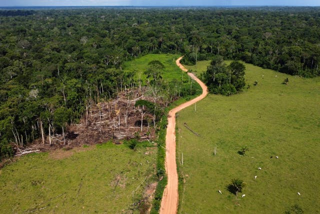 AMS-GEN BRASIL-DEFORESTACIÓN-PROTESTAS