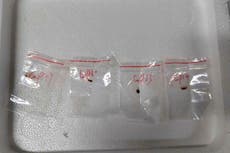 Científicas chinas acusadas de introducir material biológico a EEUU permanecerán en prisión