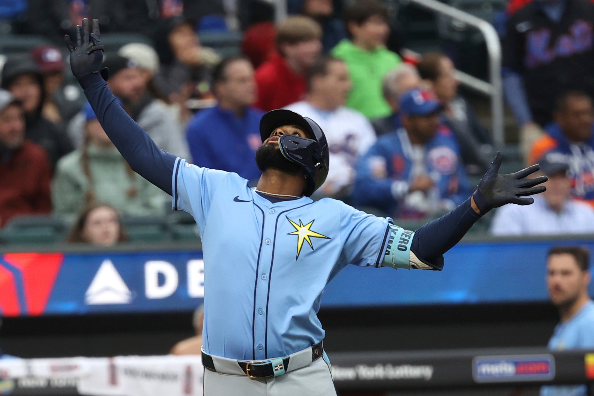 RAYS-METS