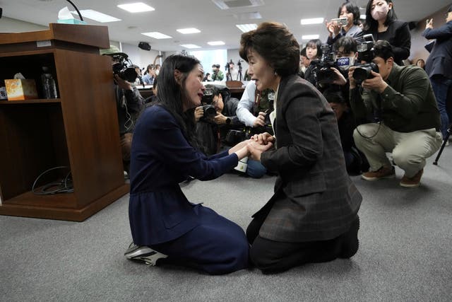 SURCOREA ADOPCIONES
