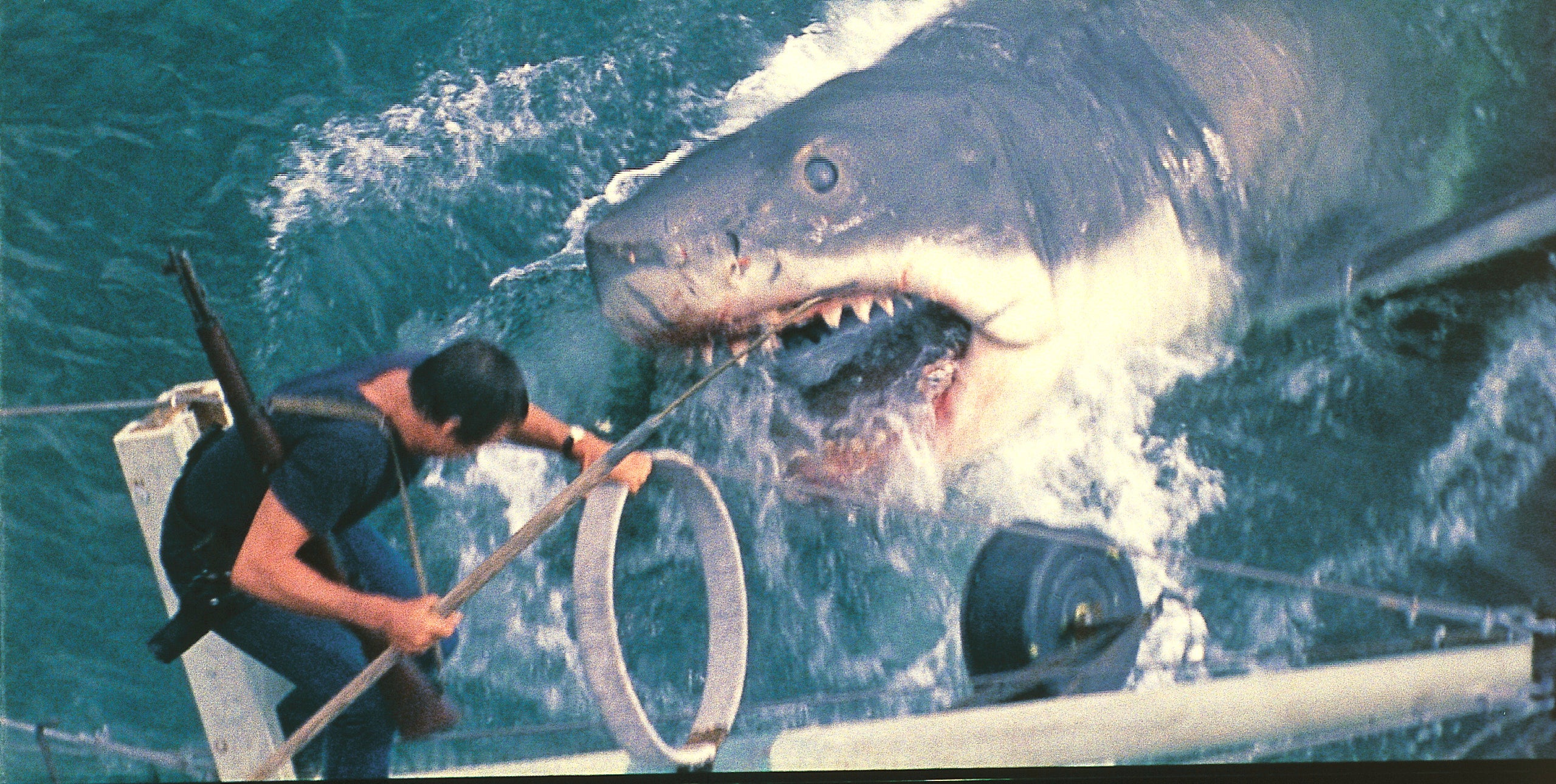 JAWS-50