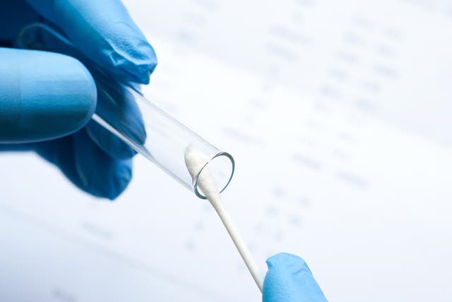 <p>El covid podría reactivar células cancerosas “dormidas” en el cuerpo (foto de archivo)</p>