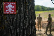 Finlandia aprueba salir del tratado contra minas terrestres mientras refuerza defensa contra Rusia