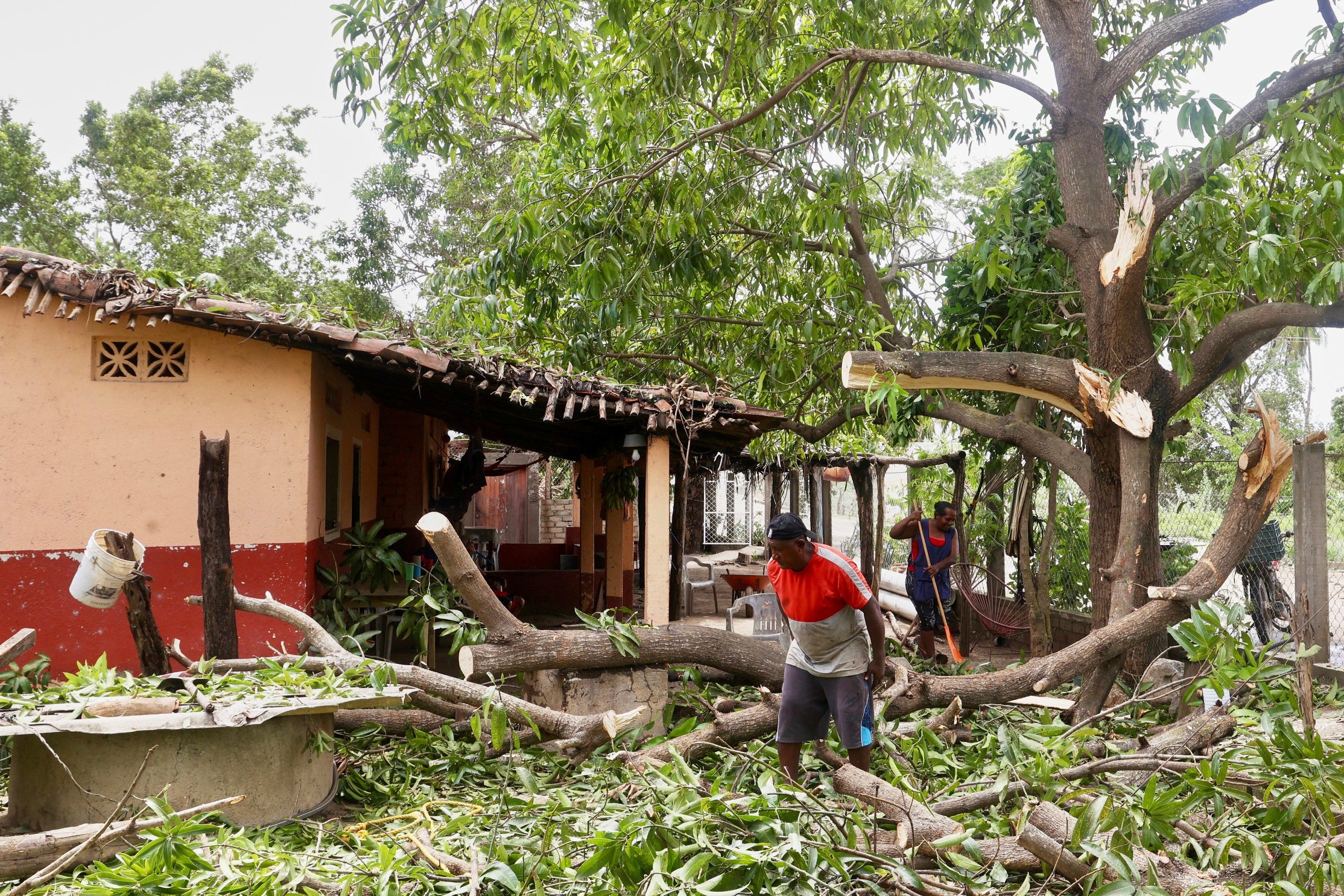 REP-GEN LATINOAMÉRICA EN IMÁGENES-FOTOS