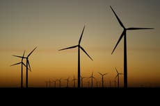 Encuesta: Disminuye apoyo a créditos fiscales para energías verdes en EEUU