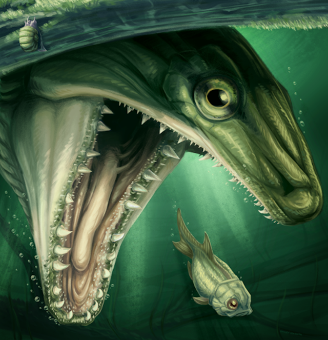 <p>Representación artística del pez <em>Sphyragnathus tyche</em>, un hallazgo reciente</p>