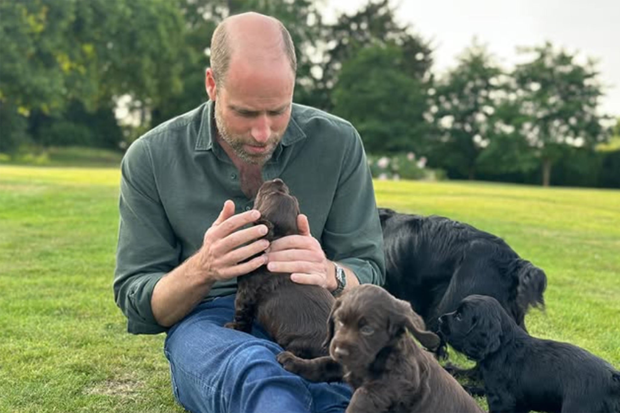El príncipe Guillermo fotografiado con los cachorros de Orla, entre ellos Otto, en junio de 2025