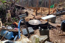 Brasil llega a acuerdo con Starlink de Musk para frenar el uso criminal en la Amazonía