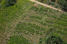 Incautan más de tres toneladas de cocaína en aguas de Aruba provenientes de Colombia