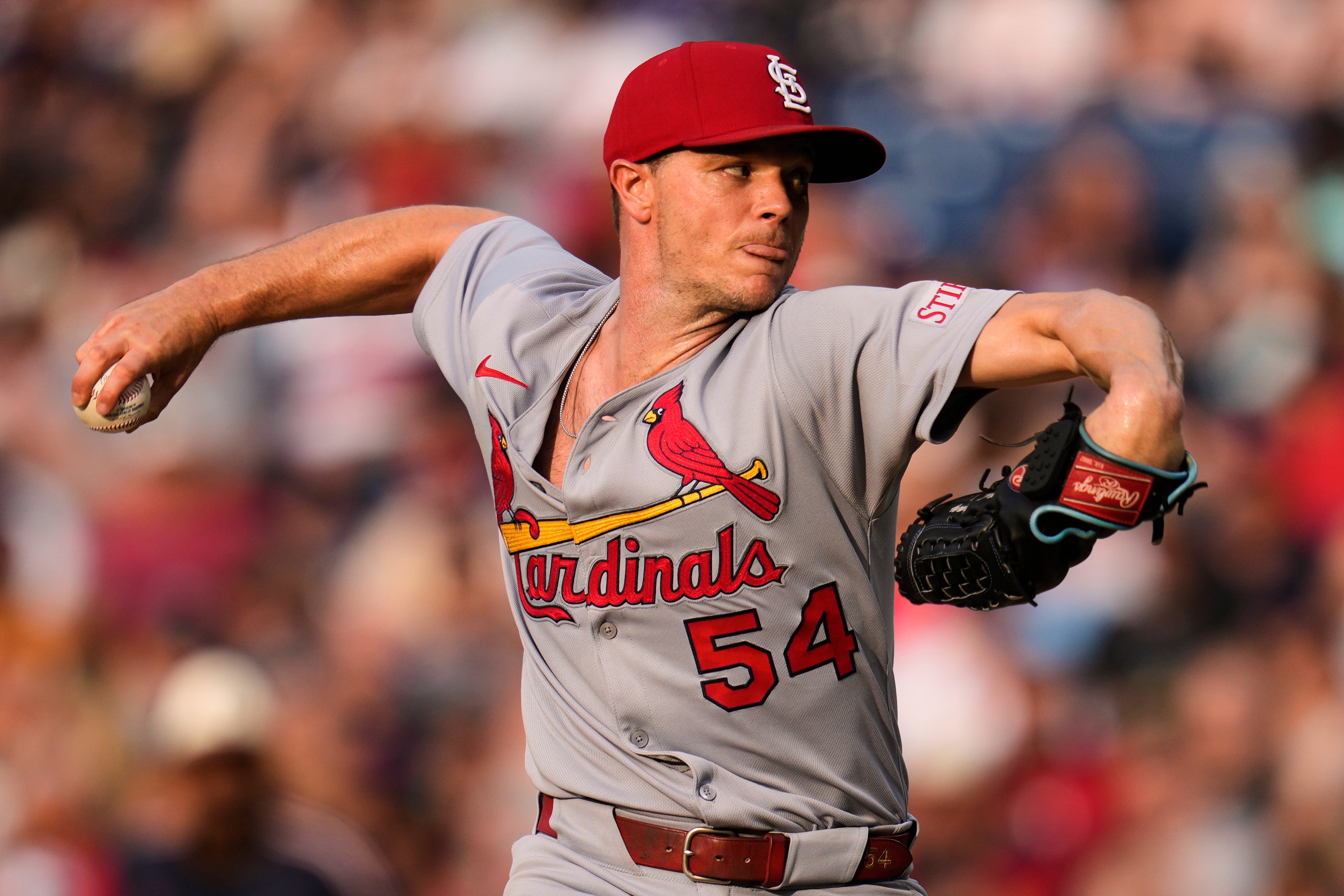 CARDENALES-GUARDIANES