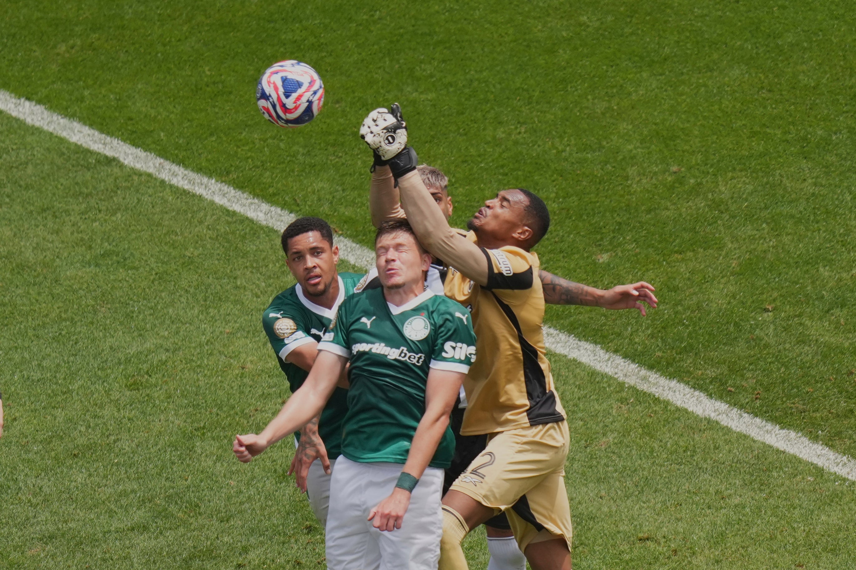 CLUBES MUNDIAL PALMEIRAS BOTAFOGO