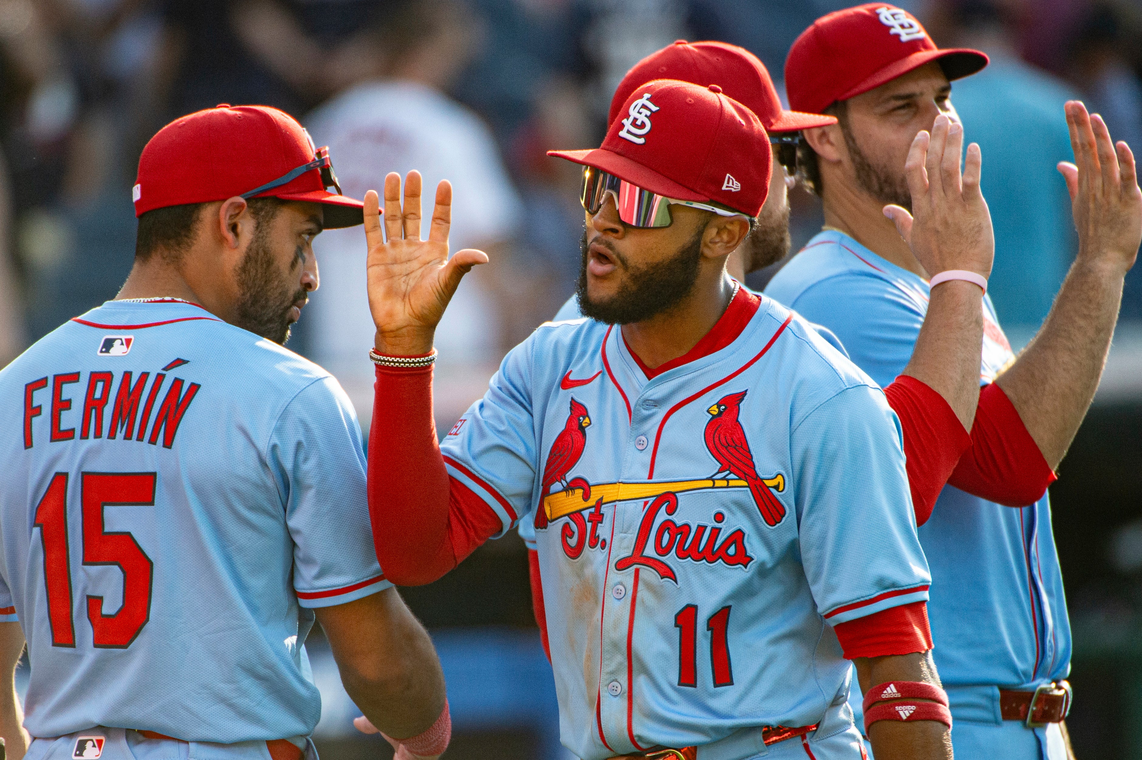 CARDENALES-GUARDIANES