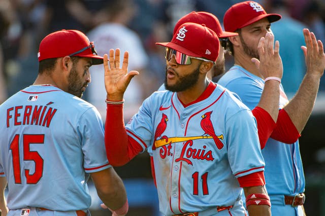 CARDENALES-GUARDIANES