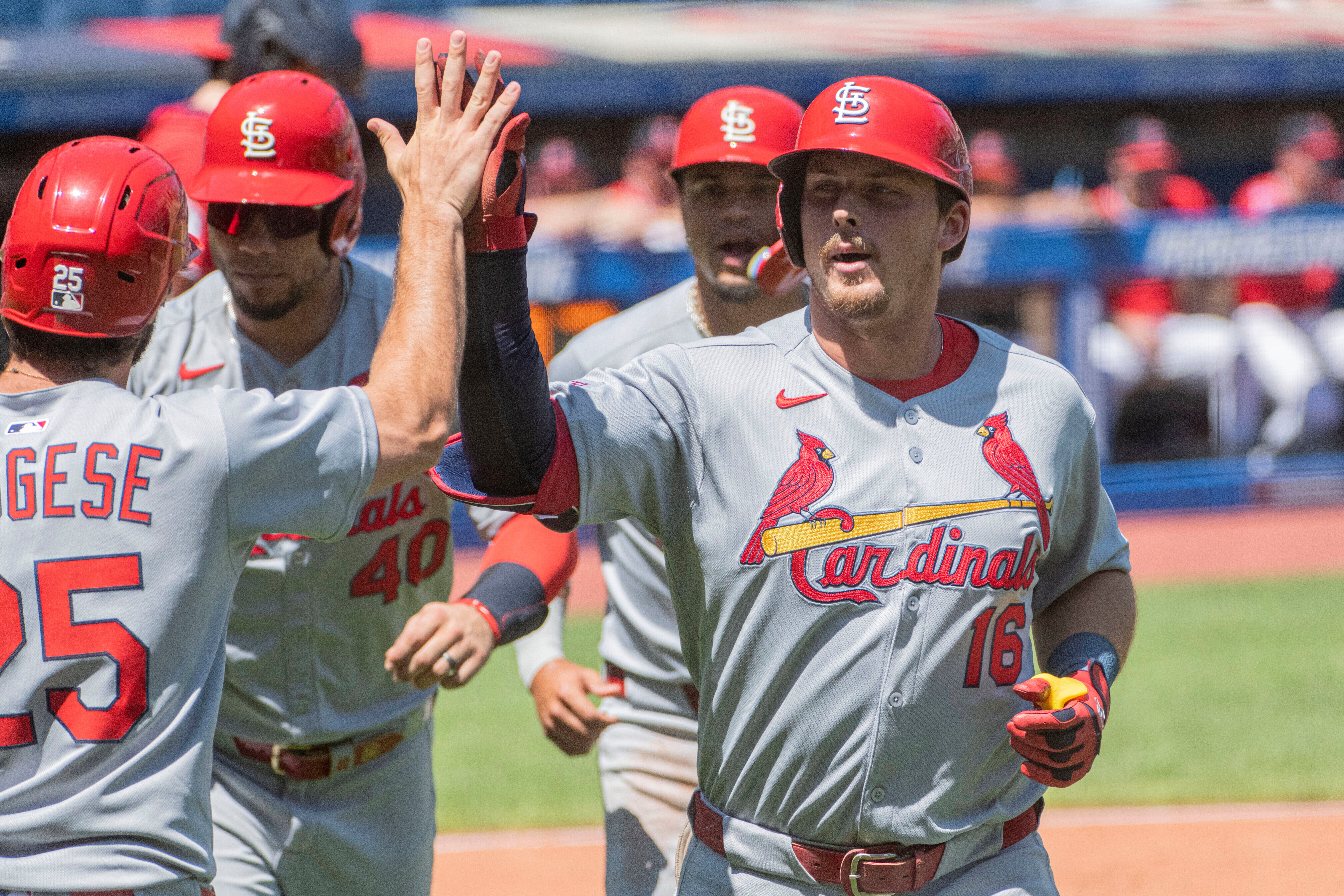 CARDENALES GUARDIANES