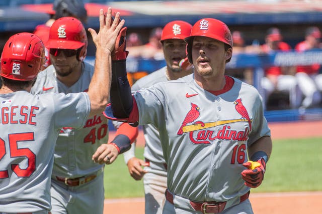 CARDENALES GUARDIANES