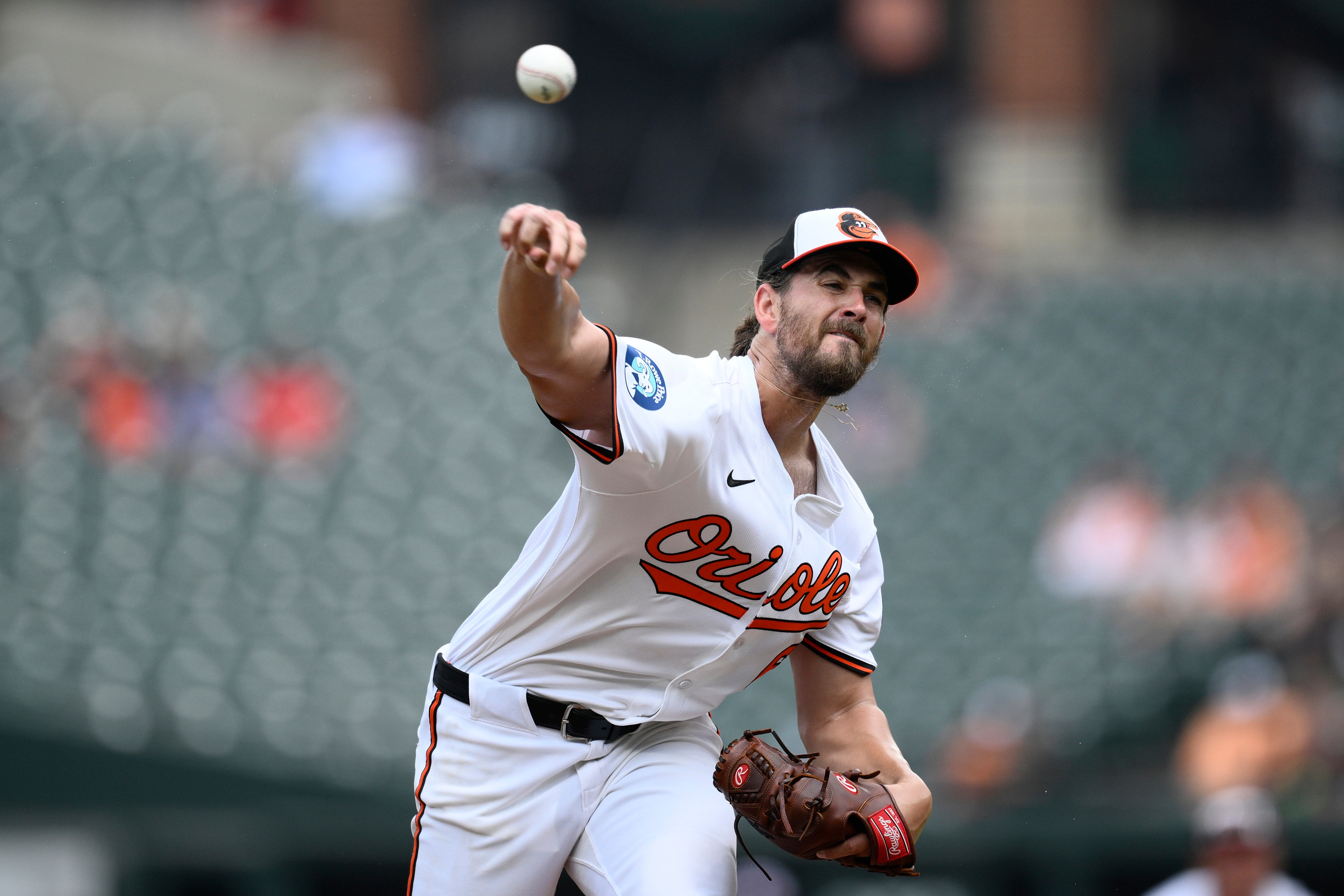 RAYS ORIOLES