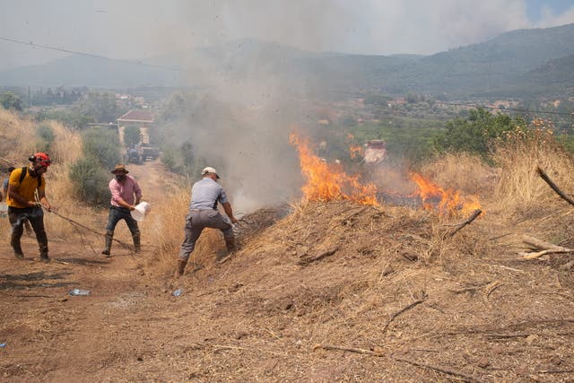 <p>Aldeanos intentan apagar un incendio forestal en Seferihisar, cerca de Esmirna, en el oeste de Turquía, el lunes</p>