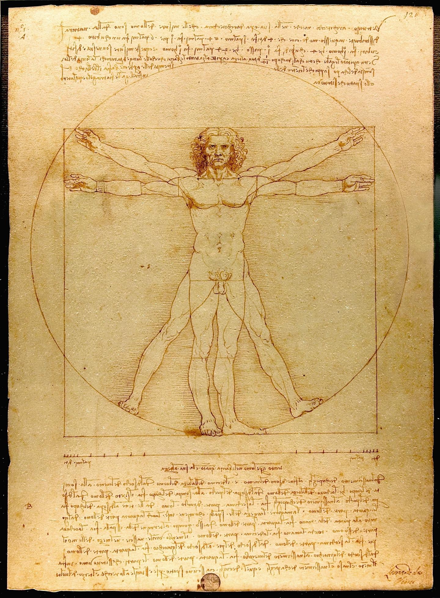 “Hombre de Vitruvio” de Leonardo da Vinci, 1490