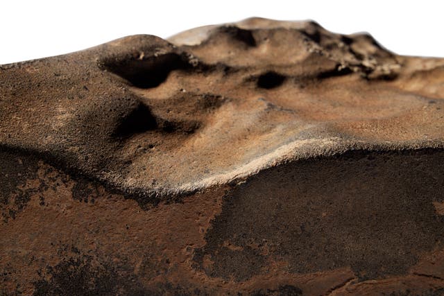 <p>A finales de este mes se subastará el mayor meteorito marciano jamás hallado en la Tierra. Podría alcanzar los 4 millones de dólares</p>
