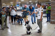 Cuba abre Observatorio Nacional de Drogas en medio de política de cero tolerancia