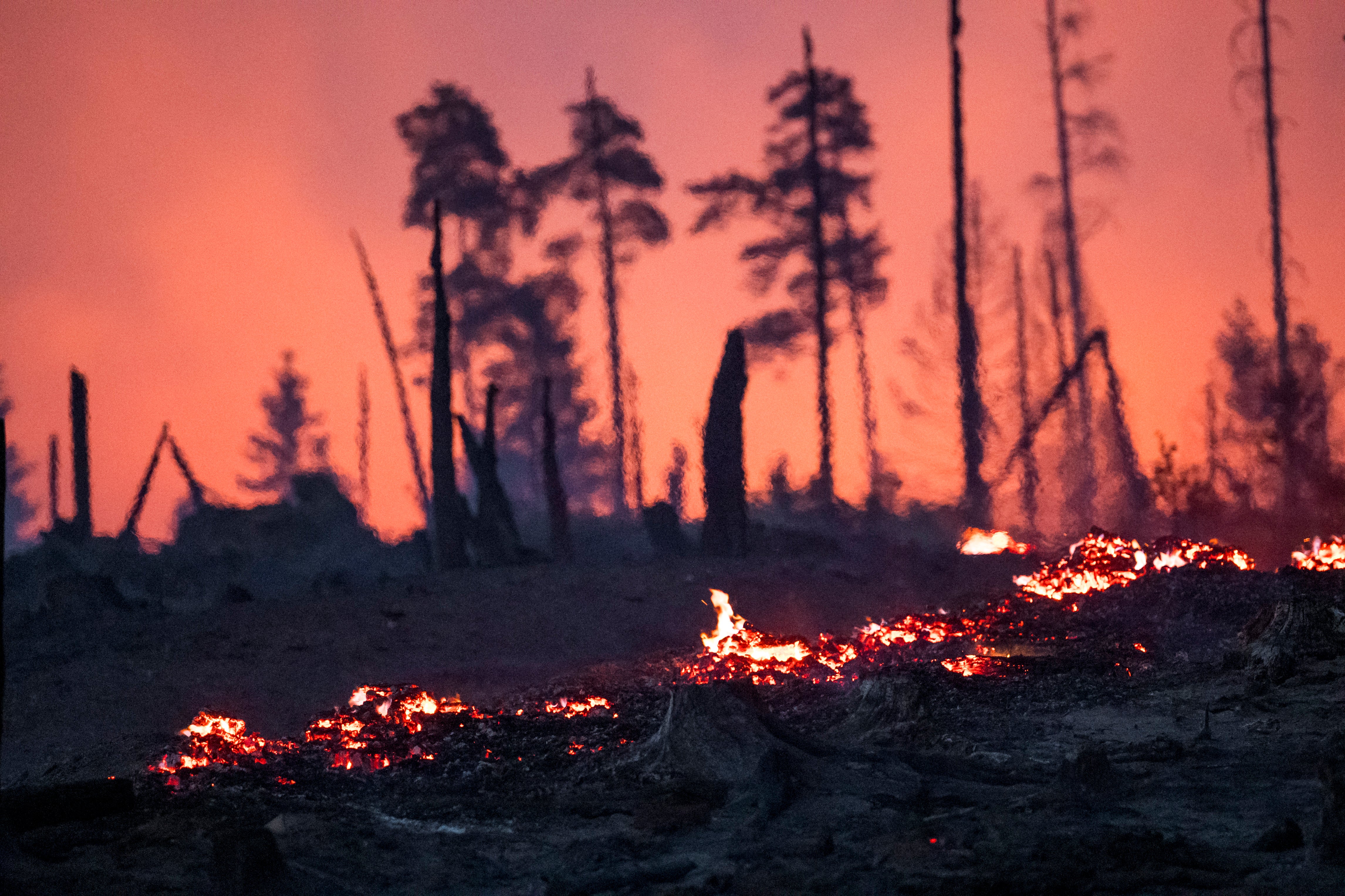 ALEMANIA INCENDIOS FORESTALES