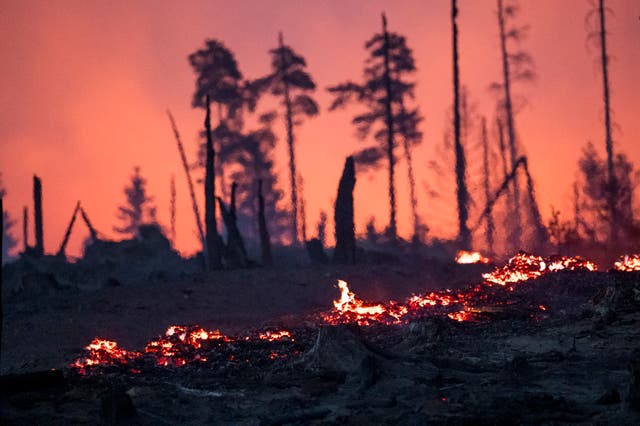 ALEMANIA INCENDIOS FORESTALES