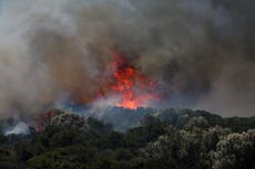Bomberos hallan hombre muerto al combatir incendios forestales en Turquía