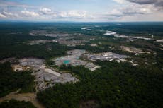 Principal corte de DDHH de América Latina afirma que gobiernos deben actuar ante la crisis climática