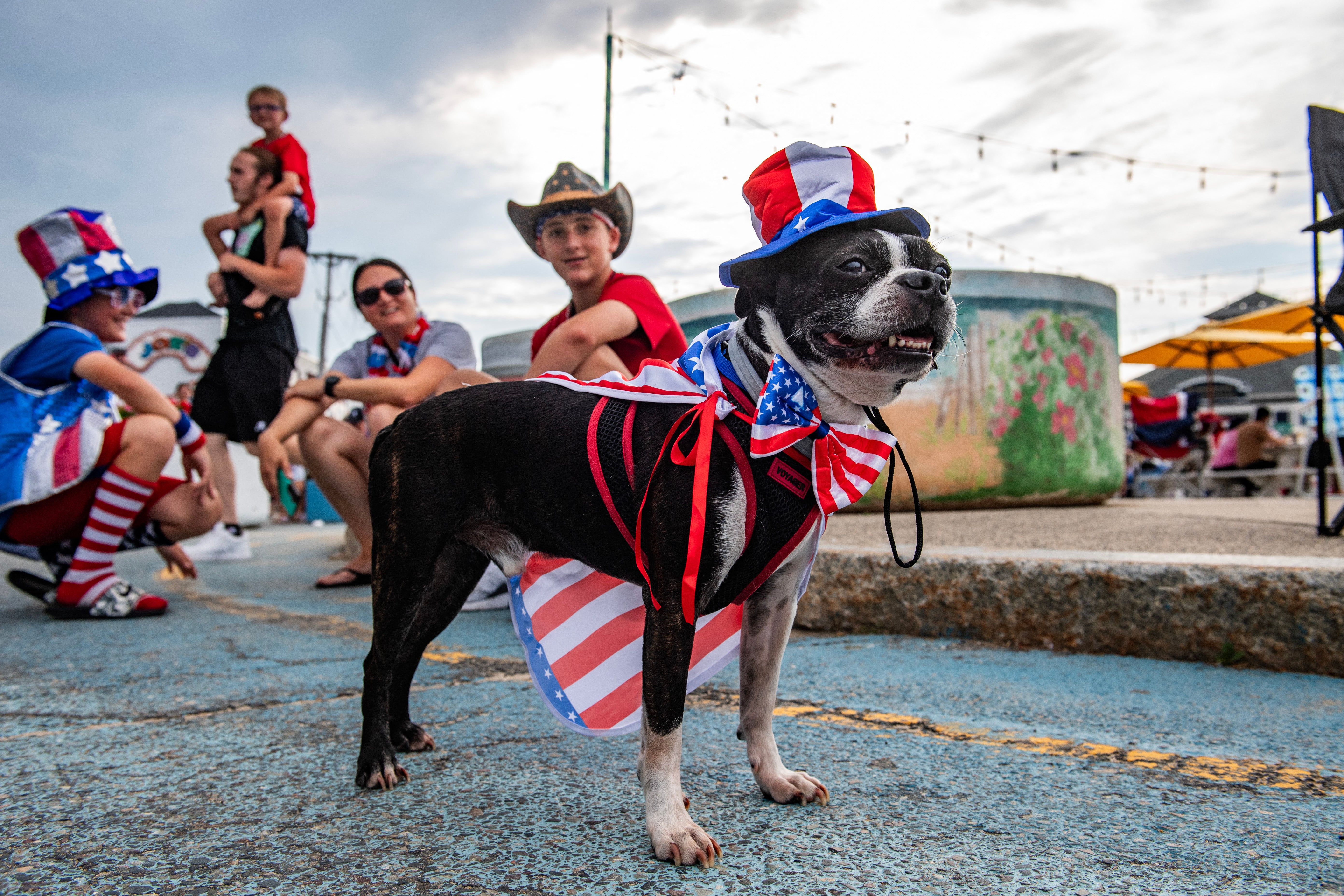 <p>Algunos perros soportan bien los ruidos fuertes, pero otros pueden sentirse abrumados por los fuegos artificiales del 4 de julio</p>