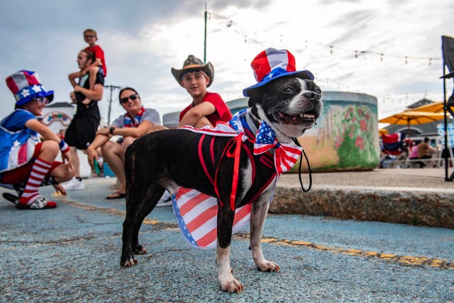 <p>Algunos perros soportan bien los ruidos fuertes, pero otros pueden sentirse abrumados por los fuegos artificiales del 4 de julio</p>