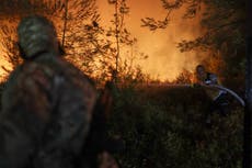 Equipos de la ONU se despliegan en la costa siria mientras incendios obligan a cientos a huir