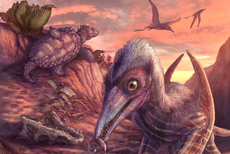 Descubren especie de reptil volador que vivió entre dinosaurios hace millones de años