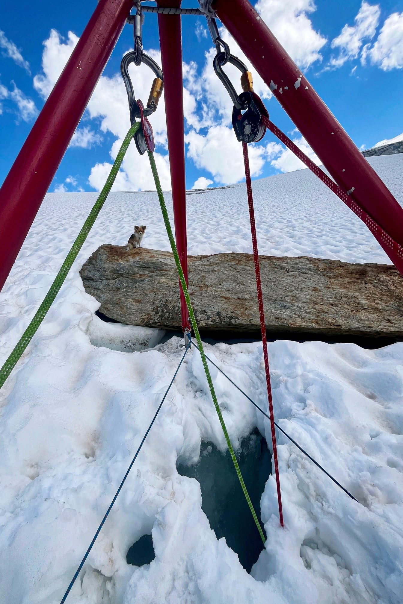 SUIZA-CHIHUAHUA SALVADOR