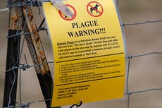 Un residente del norte de Arizona muere a causa de peste neumónica