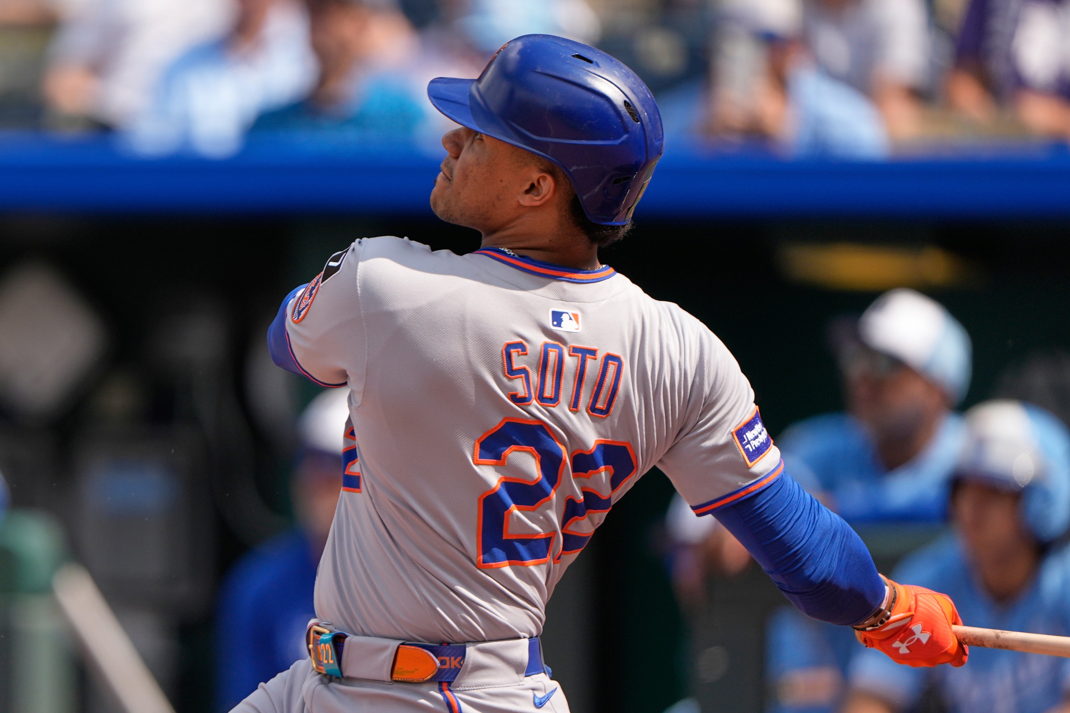METS-REALES