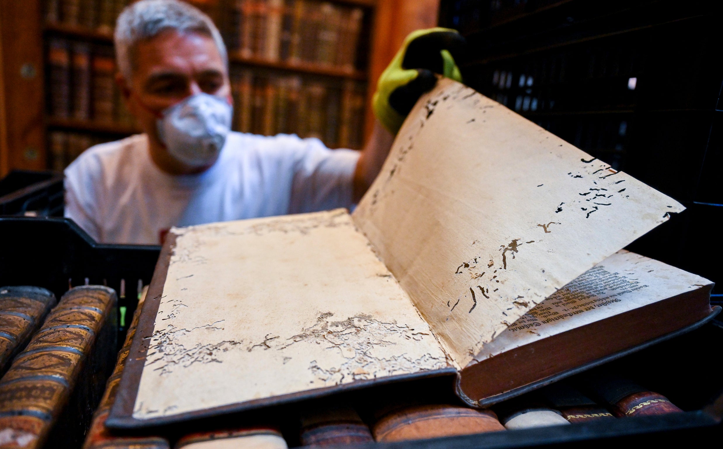 La biblioteca más antigua de Hungría trata de salvar 100.000 libros de una plaga de gorgojos