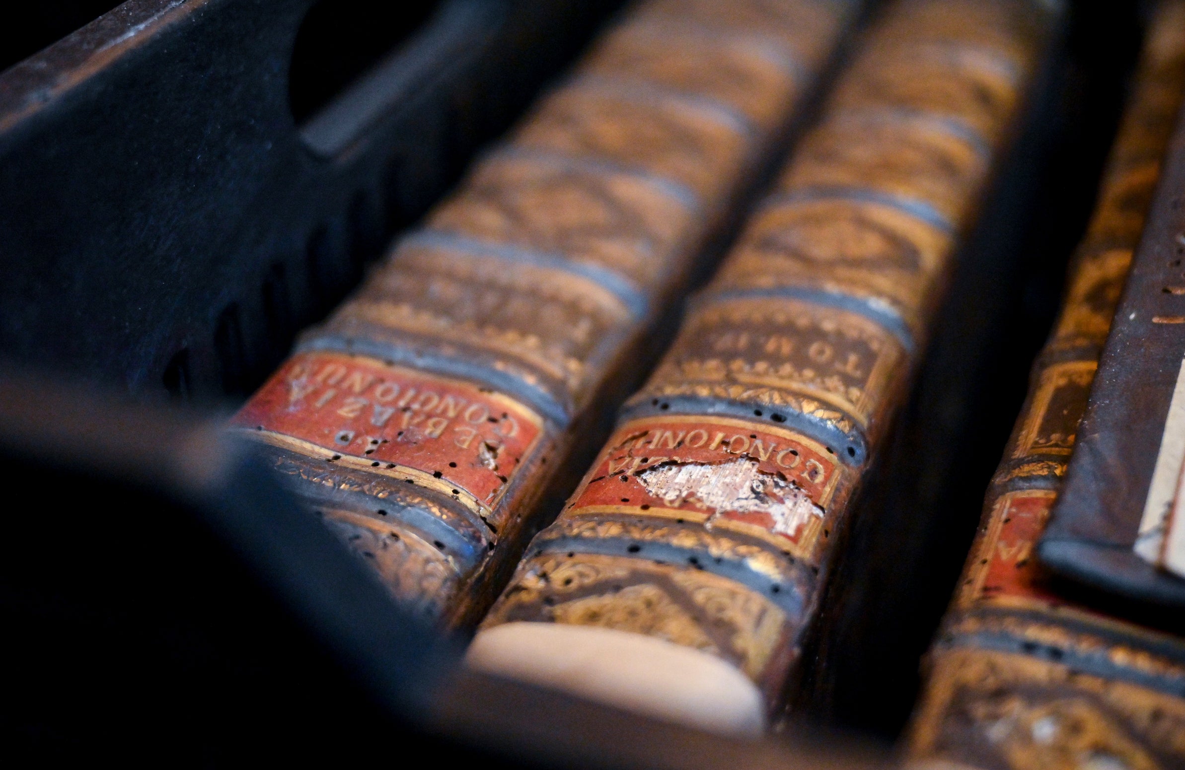 HUNGRÍA-BIBLIOTECA MEDIEVAL-PLAGA